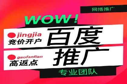百度竞价推广代运营助力电商行业案例